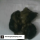 A woman stands over the floor while pooping, then later wipes herself.